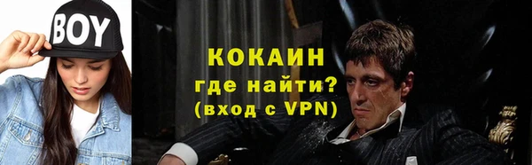 сатива Армянск