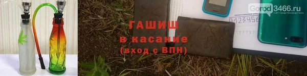 сатива Армянск