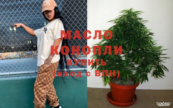 сатива Армянск