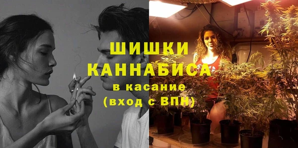 сатива Армянск