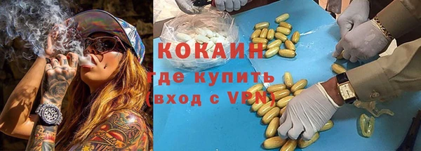 сатива Армянск