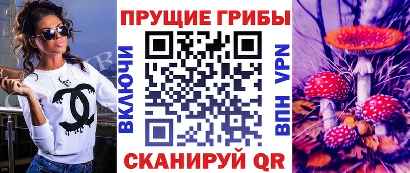 Галлюциногенные грибы GOLDEN TEACHER  Купить закладки  Новоалтайск 