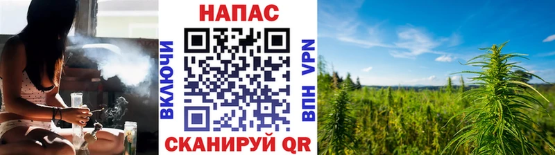 МАРИХУАНА гибрид  Купить где  Новоалтайск 